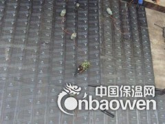 城子街道专业做屋面防水  城子街道专业做楼顶防水图2