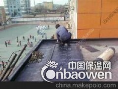 专业北京海淀区楼顶防水屋顶防水施工大小活都做图2