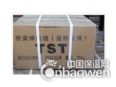 赣州市TST弹塑体桥梁伸缩缝图3
