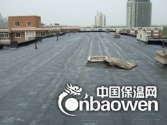 南沙滩专业做防水图2