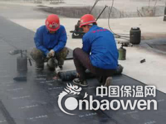王四营专业做防水图2