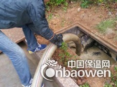 苏州清理化粪池【%高效服务】图3