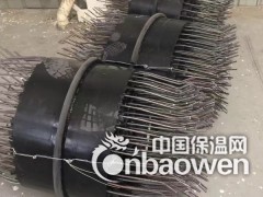 植入式桥梁伸缩缝连续装置安装图2