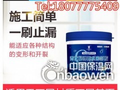 南宁防水材料青龙粘弹防水密封胶专治穿墙管道混凝土裂缝图2