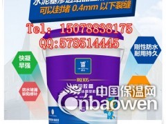 水泥基渗透结晶型防水剂RQ305青龙广东防水材料图2