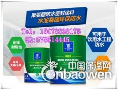 HG203防水密封涂料青龙牌广东防水涂料青龙建材价格图2