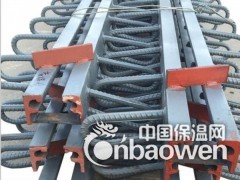 贺州市GQF-F40型桥梁伸缩缝厂家图1