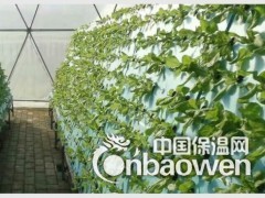 无土栽培 实验水培种植 高密度浮板 无土育苗蔬菜栽培开孔泡沫图2