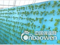 无土栽培 实验水培种植 高密度浮板 无土育苗蔬菜栽培开孔泡沫图3