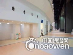 山东PVC地胶图2