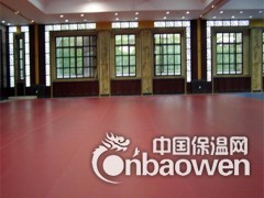 福州PVC地胶图3