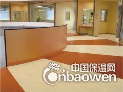 太原PVC地胶图2