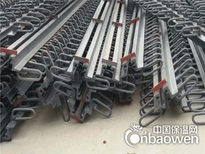 GQF-D40型桥梁伸缩缝利川市