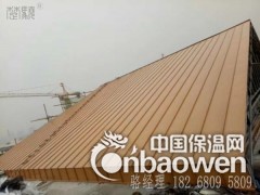 YX25-330型铝镁锰板 直立锁边板 铝镁锰屋面板安装图2