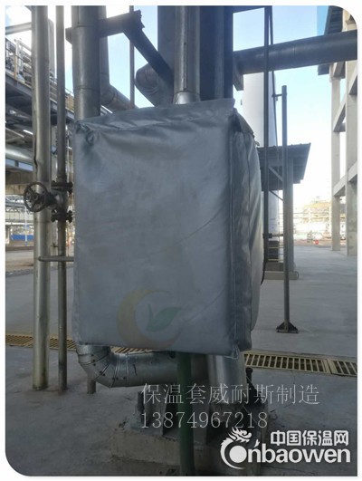 化工仪表保温罩|化工仪表保温套