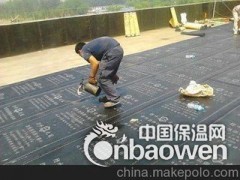北京专业楼顶防水屋顶防水堵漏公司信誉永恒图3
