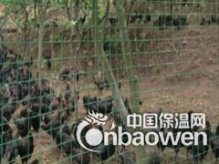 绿色方格养殖网A黄石绿色方格养殖网A绿色方格养殖网规格图3