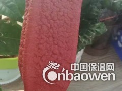 哪里销售PZ制品型遇水膨胀止水条图3
