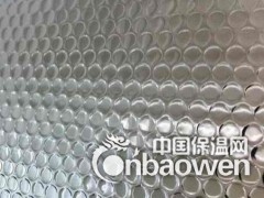 隔热膜铝箔气泡膜图2