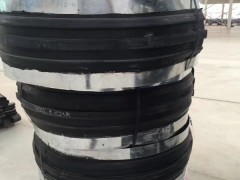 仪征市钢边橡胶止水带型号图1