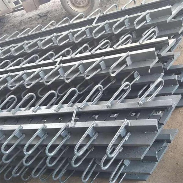 C80型桥梁伸缩装置