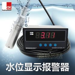 河流、水库、湖泊水位变化测量仪-WH311投入式水位显示器