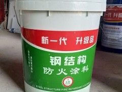 厚型防火涂料 室内厚防火涂料 室内防火涂料图2