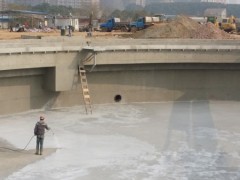 污水处理厌氧消化池防腐鲁蒙LM混凝土结构防腐防水材料图2