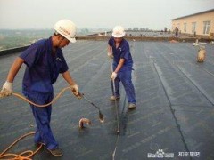 西红门做防水图2