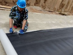 管廊用HDPE自粘高分子防水卷材图2