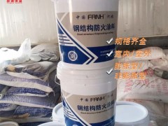 生产供应 钢结构防火涂料 膨胀性防火涂料 非膨胀性防火涂料图3