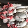 牡丹江市聚氯乙烯膠泥價格