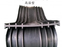 琼海市中埋式橡胶止水带规格图2