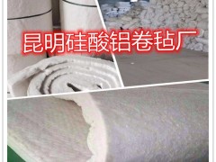 西双版纳硅酸铝卷毡厂家 景洪硅酸铝针刺毯厂家 隔离模块图3