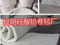 攀枝花硅酸铝卷毡厂家 攀枝花硅酸铝针刺毯厂家 硅酸铝模块图2