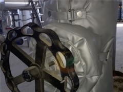 【威耐斯】山东枣庄东营泰安可拆卸式阀门保温衣厂家批发图5