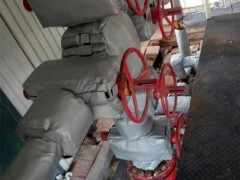 【威耐斯】山东烟台潍坊排气管软保温套拆卸方便图1