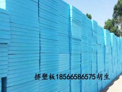湛江冷库用国标挤塑板生产厂家图1