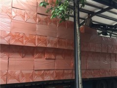 外墙eps热固型聚苯乙烯改性聚苯板生产商图2