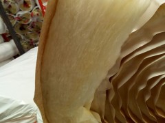 华美玻璃棉保温毡生产厂家-7公分玻璃棉卷毡每平方价格图5