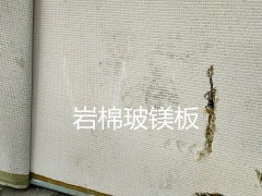 亨力特自动13米洁净板净化板复合板热压机 玻镁板自动生产线图5