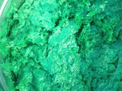 河北玻璃鳞片胶泥生产厂家图2