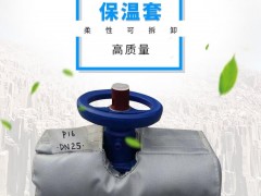 威耐斯科技 管道隔热衣 电加热阀门保温衣 电伴热保温套图5