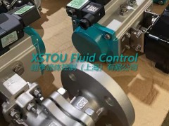 XSTOU FIG150法兰球阀图3