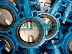 XSTOU FIG225气动蝶阀图2