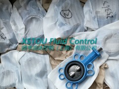 KSB ACTAIR C5 F05-F07 DD11气缸图3