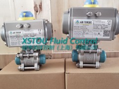 AIRTORQUE AT101UDA气动执行器图3