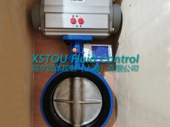 AIRTORQUE AT251UDA气动执行器图4