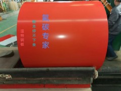 山东温特氟碳彩钢板图6