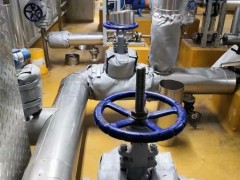 威耐斯 施工方案 保温方案定制排气管保温套 耐高温图6